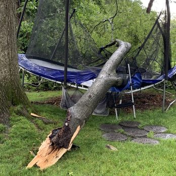 Green Tops Tree Service - Tree Services Near Me