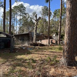 Kraken Tree Service - Rigging removing trees off houses
