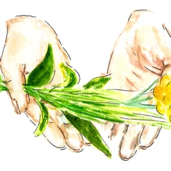 user provided Angela Olson Skincare photo