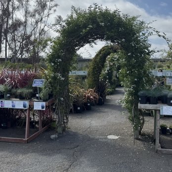 Plant Depot - Nurseries & Gardening Near Me - San Juan Capistrano, California Plant Depot - Nurseries & Gardening Near Me - San Juan Capistrano, California