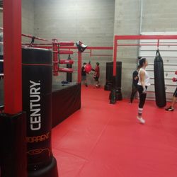 Fight City - Garcia brothers working out together.