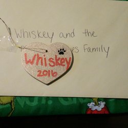 Katz & Hounds - Whiskey's present from her groomers :)