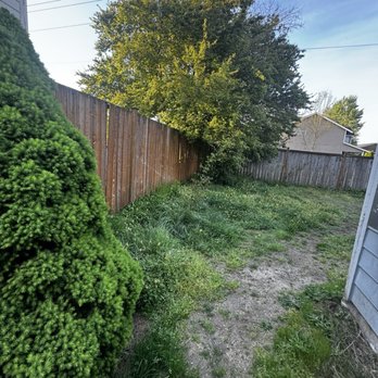 BK’s Property Services - Back yard before service - Lawn Services Near Me BK’s Property Services - Back yard before service - Lawn Services Near Me