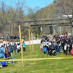 Meriden Daffodil Festival - Lines to leave festival and get on shuttle busses
