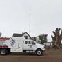 Photo of Limbwalker Tree Service