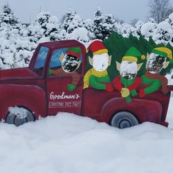 Goodman's Christmas Tree Farm