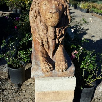Elegant Garden Nursery 29 Reviews Nurseries Gardening 2046 - Elegant Gardens Nursery Moorpark Ca 93021 Elegant Garden Nursery 29 Reviews Nurseries Gardening 2046 - Elegant Gardens Nursery Moorpark Ca 93021