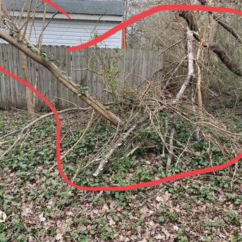 All American Tree and Stump Removal - Tree Services Near Me