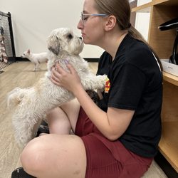 The Dog Stop - Franklinton - The Dog Stop Manager, Shaylan, who is like the Dog whisperer.