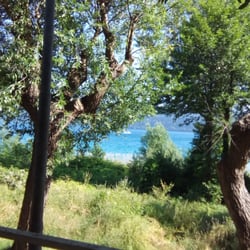 Zevini dal 1960