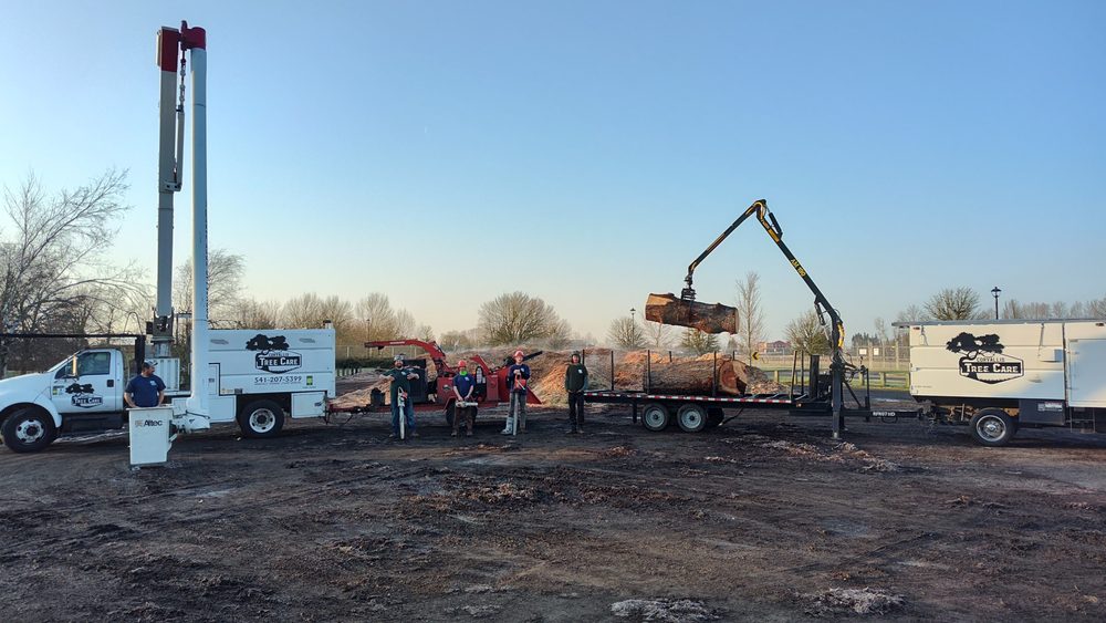 Corvallis Tree Care - tree service in Albany, OR