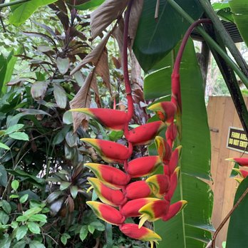 Hike Maui - Tours Near Me - Kahului, Hawaii Hike Maui - Tours Near Me - Kahului, Hawaii