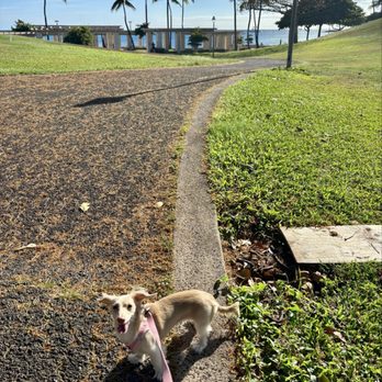 Kaka'ako Waterfront Park - Parks Near Me - Honolulu, Hawaii Kaka'ako Waterfront Park - Parks Near Me - Honolulu, Hawaii