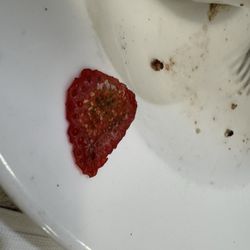 Floral Park Diner - Moldy strawberry
