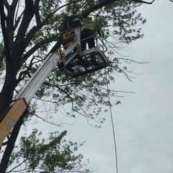 Teeter Landscaping tree division - we use boom lifts on 85% of are jobs