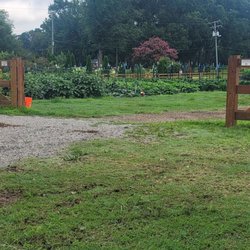 Shalom Farms