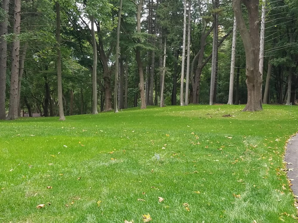 Slide of Selective Soils And Services