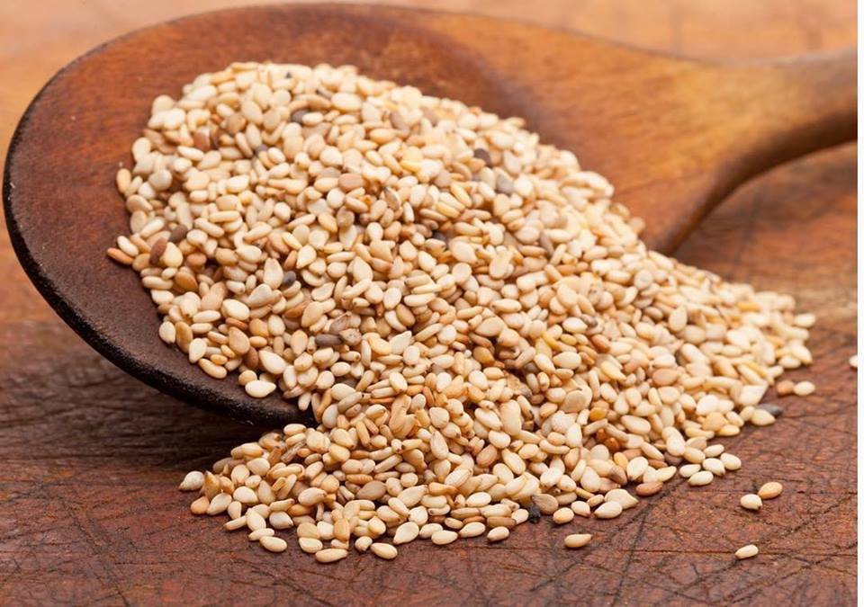 ALLERGY & ASTHMA CENTER OF ORLANDO Updated August 2024 5385 Conroy