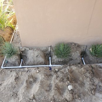 The Sprinkler Man - install drip irrigation for plants - Irrigation Near Me The Sprinkler Man - install drip irrigation for plants - Irrigation Near Me