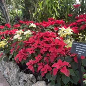 Lincoln Park Conservatory - Parks Near Me - Chicago, Illinois