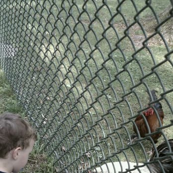 Merril Park - Great area for kids to see a variety of animals - Parks Near Me - Colonia, New Jersey