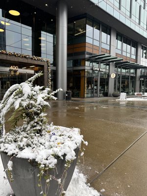 Caffe Ladro - Kirkland Urban by null