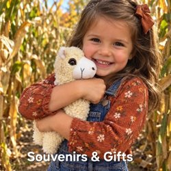 Alpaca Acres Farm and Fun - The cutest little gift shop