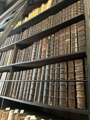 Marsh’s Library by null