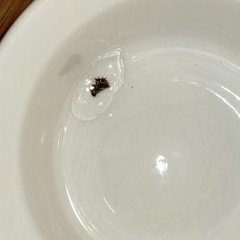 Carl's Jr - a bug in a bowl of water - Burgers Near Me - Gig Harbor, Washington Carl's Jr - a bug in a bowl of water - Burgers Near Me - Gig Harbor, Washington
