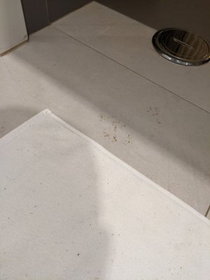 Tivoli Carvoeiro Algarve Resort by null