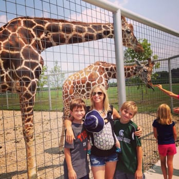 Boulder Ridge Wild Animal Park - You can feed giraffe carrots too! - Zoos Near Me - Alto, Michigan Boulder Ridge Wild Animal Park - You can feed giraffe carrots too! - Zoos Near Me - Alto, Michigan