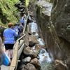 Flume Gorge Visitor Center gift card