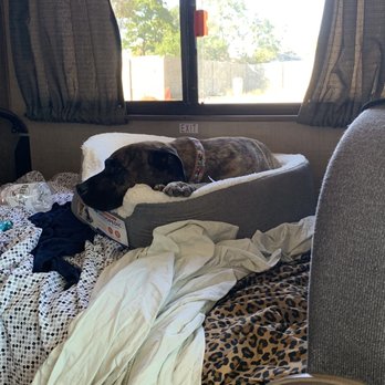 Island Pet Movers - Merlin!! - Pet Transportation Near Me - Honolulu, Hawaii