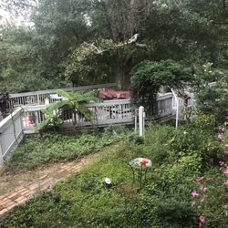 The Gray House