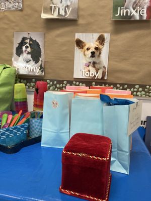 Marin Humane by null