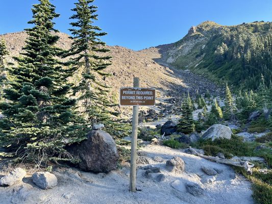 Mt St Helens by null