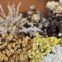 Chrysanthemum Rare Teas & Flowers
