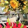 Photo of Wonderland Flowers