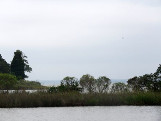 Belle Isle State Park by null