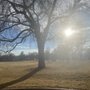 Photo of 51st and Zuni Park