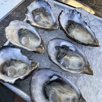 Hook Fish at Proof Lab Beer Garden - Oysters - Seafood Near Me - Mill Valley, California Hook Fish at Proof Lab Beer Garden - Oysters - Seafood Near Me - Mill Valley, California
