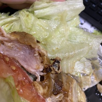 Habit Burger & Grill - Apparently raw chicken is on the menu at the habit! - Burgers Near Me - Redding, California