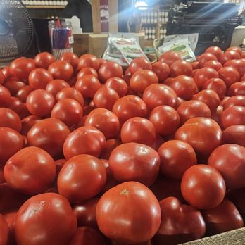 Beasley's Orchard - Fresh tomatoes - Farmers Market Near Me - Danville, Indiana Beasley's Orchard - Fresh tomatoes - Farmers Market Near Me - Danville, Indiana