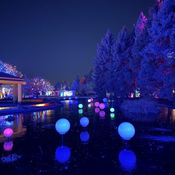 Blossoms of Light - Lilly pond changing orbs - Botanical Gardens Near Me - Denver, Colorado