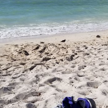 Sombrero Beach - Swimming Pools Near Me - Marathon, Florida Sombrero Beach - Swimming Pools Near Me - Marathon, Florida