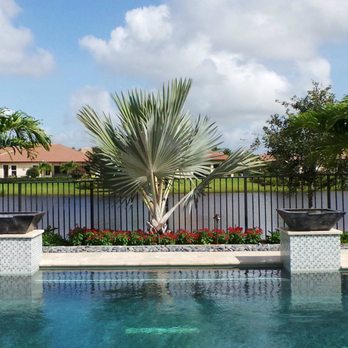 Sanctuary Gardens - a pool and palm trees - Nurseries & Gardening Near Me - Loxahatchee, Florida Sanctuary Gardens - a pool and palm trees - Nurseries & Gardening Near Me - Loxahatchee, Florida