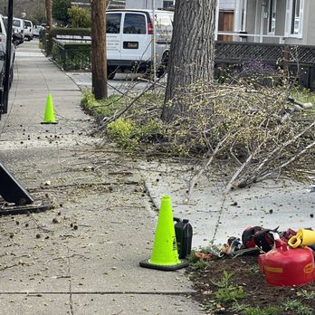 Nix Tree Service - Tree Services Near Me Nix Tree Service - Tree Services Near Me