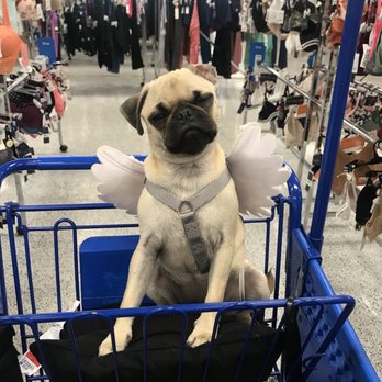 Ross Dress for Less - Penny Lane on her Sunday Funday at Ross! - Department Stores Near Me - Henderson, Nevada Ross Dress for Less - Penny Lane on her Sunday Funday at Ross! - Department Stores Near Me - Henderson, Nevada
