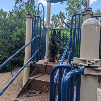 Specialty Dog Training - Pet Training Near Me - Oceanside, California