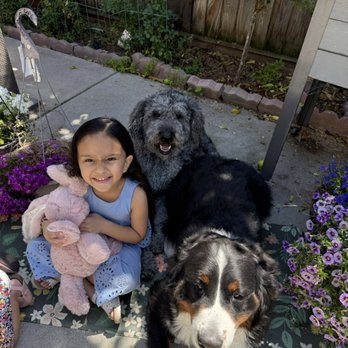 Lush Spaw - Pet Groomers Near Me - San Jose, California Lush Spaw - Pet Groomers Near Me - San Jose, California